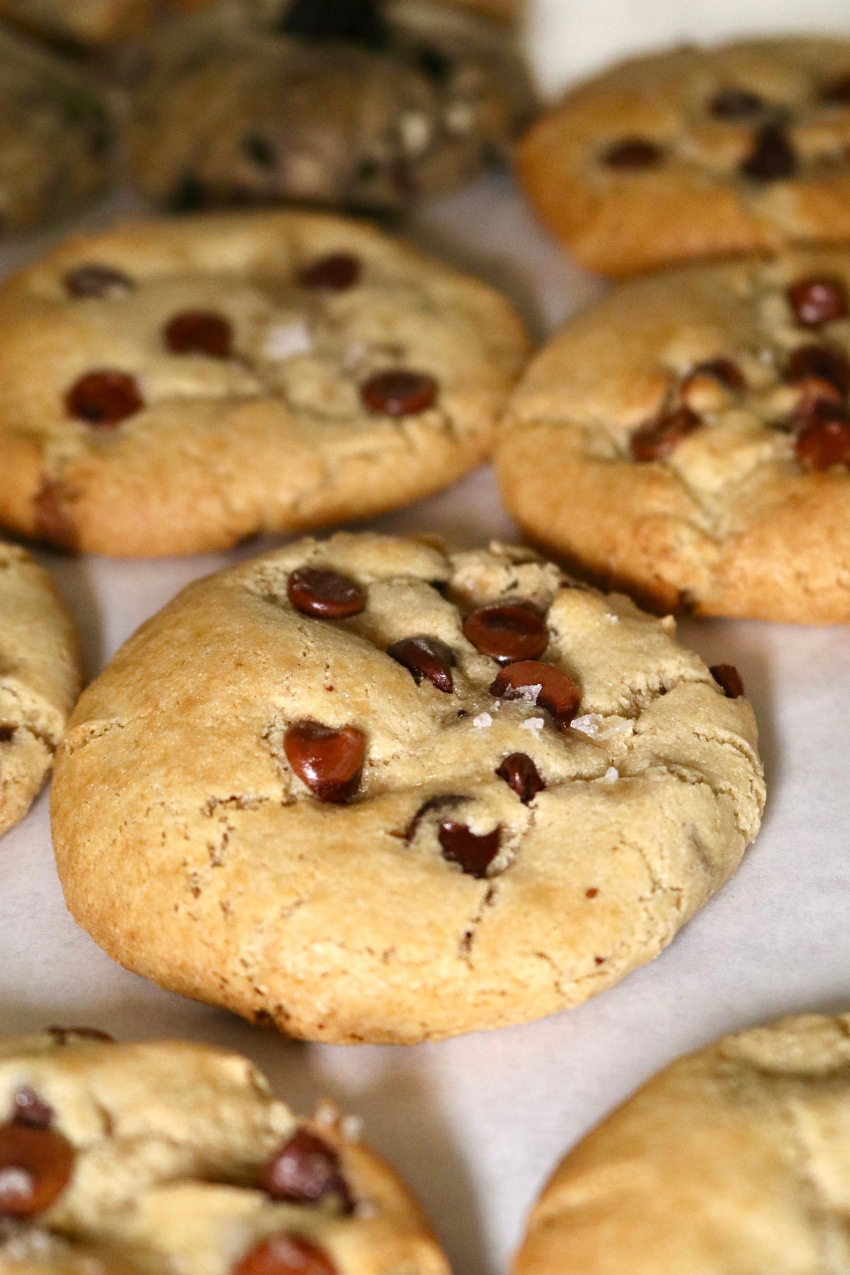 Gluten Free Cookies