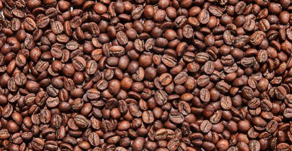 1 Pound Terra's Sunrise Espresso Roast