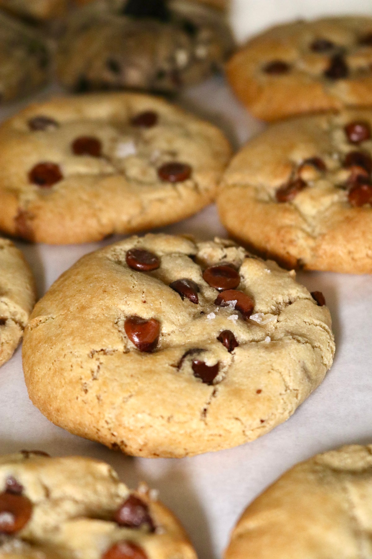 Gluten Free Chocolate Chip Cookie